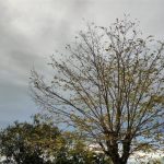 El tiempo en Extremadura para hoy miércoles, 9 de septiembre de 2026