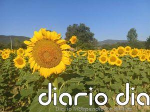El tiempo en Extremadura para hoy sábado, 19 de septiembre de 2026