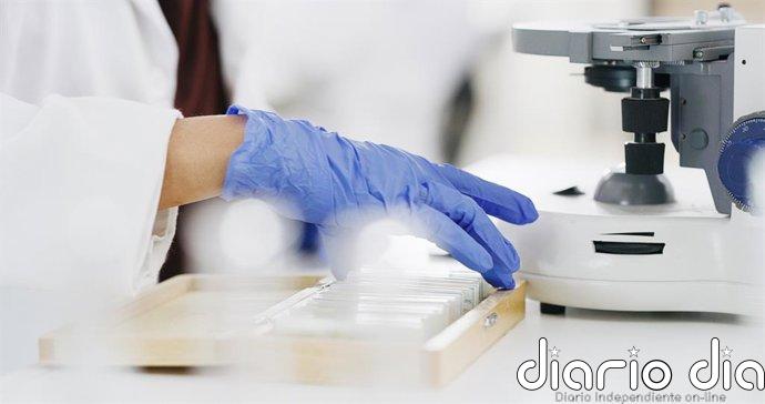 Empresas.- La FDA autoriza el ensayo STARFISH-54 de PharmaMar para estudiar combinaciones con PM54 en tumores sólidos