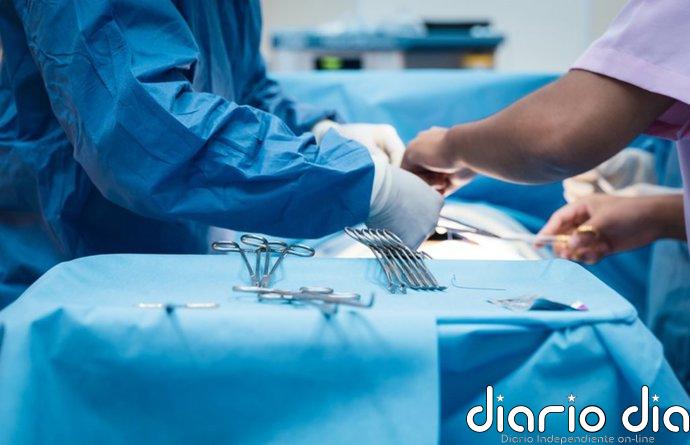 España roza los 533.000 inscritos en el Registro de Donantes de Médula Ósea, con 77 nuevos registros cada día en 2026