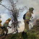 Estabilizado el incendio de Quintanas de Hormiguera