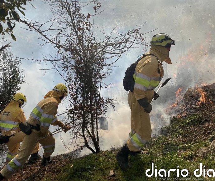 Estabilizado el incendio de Quintanas de Hormiguera