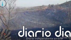 Estabilizado el incendio en el paraje Camino El Parralejo en Puerto Moral (Huelva)