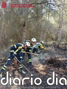 Estabilizado el incendio forestal de Carcastillo