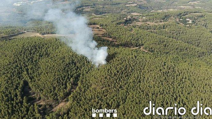 Estabilizado un incendio forestal en Sant Salvador de Guardiola (Barcelona)