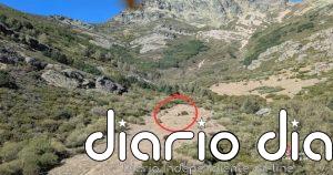 Evacuada en helicóptero una montañera herida mientras hacía una ruta en el Monte Curavacas (Palencia)