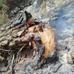 Evoluciona favorablemente el incendio forestal de Urzainki