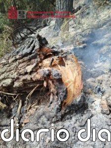 Evoluciona favorablemente el incendio forestal de Urzainki