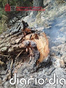 Evoluciona favorablemente el incendio forestal de Urzainki