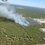 Extinguido el incendio declarado en el paraje Mazagón-Barriada San José de Moguer (Huelva)