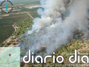 Extinguido en Cartaya (Huelva) el tercer incendio registrado este mes en el municipio
