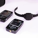 Fiscalía ve un "avance significativo" en uso de pulseras para maltratadores y avisa de "déficits" en unidades forenses