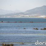 Interior inicia los trámites para prolongar el espigón de El Tarajal y sustituir la barrera flotante mediante boyas