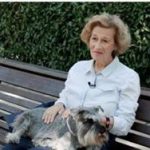 Julia Navarro y Lucas, el perro que rescató a su dueño, galardonados en los X Premios Bienestar Animal de COLVEMA