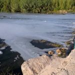 La CHJ inicia la retirada de peces muertos en un tramo del Magro lleno de espuma tras un posible vertido