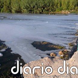 La CHJ inicia la retirada de peces muertos en un tramo del Magro lleno de espuma tras un posible vertido