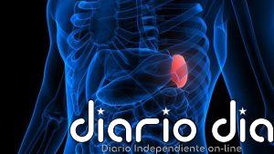 La ciencia descubre un indicador oculto en el bazo que predice el riesgo de infarto