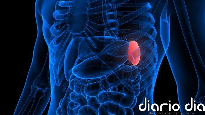 La ciencia descubre un indicador oculto en el bazo que predice el riesgo de infarto