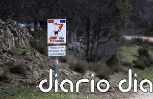 La Comunidad aprueba la desafectación de la vía pecuaria que cruza Ifema para modificar su trazado en el circuito de F1