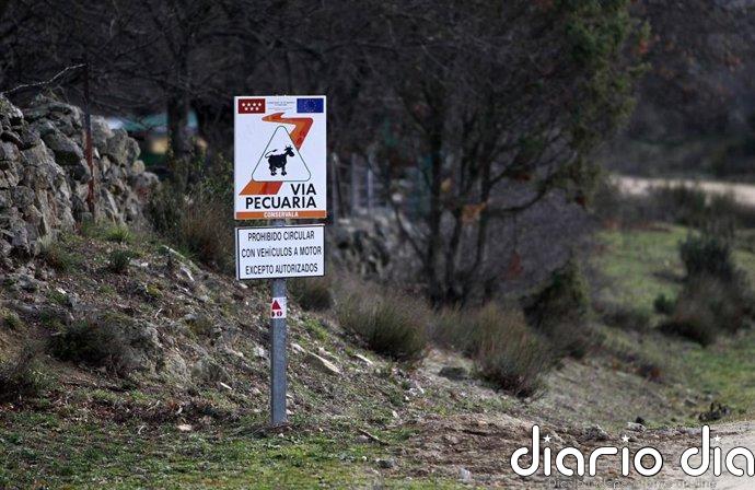 La Comunidad aprueba la desafectación de la vía pecuaria que cruza Ifema para modificar su trazado en el circuito de F1
