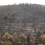 La Diputación de Castellón moviliza más de 1,35 millones para ayudar a los municipios afectados por los incendios