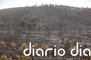La Diputación de Castellón moviliza más de 1,35 millones para ayudar a los municipios afectados por los incendios