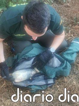 La Guardia Civil auxilia a un gato con la cabeza atrapada en una botella de plástico en Portomarín (Lugo) Un agente de la Guardia Civil libera a un gato atrapado en una botella de plástico.