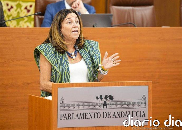 La Junta reivindica la ampliación del CEIP Andalucía de Santa María del Águila ante el crecimiento de El Ejido (Almería)
