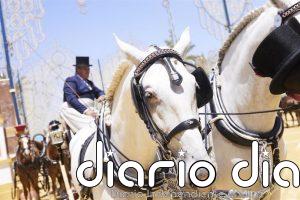 La Parada Hípica de Jerez (Cádiz) se celebrará una comitiva de más de cien caballos y 20 enganches