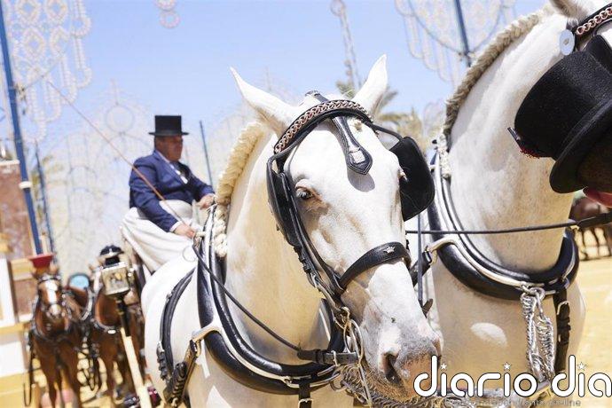 La Parada Hípica de Jerez (Cádiz) se celebrará una comitiva de más de cien caballos y 20 enganches
