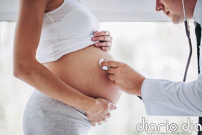La proteína IRS2, clave en la formación de la placenta y crecimiento del feto en ratones
