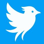 La red social que quería rescatar la marca 'Twitter' puede usar el nombre de 'Tweet' de momento por un fallo judicial