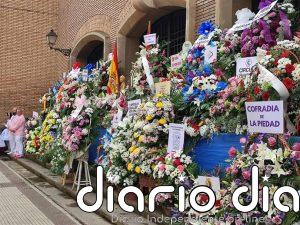 Las actividades continúan durante este fin de semana en Logroño con un completo programa post fiestas de San Mateo