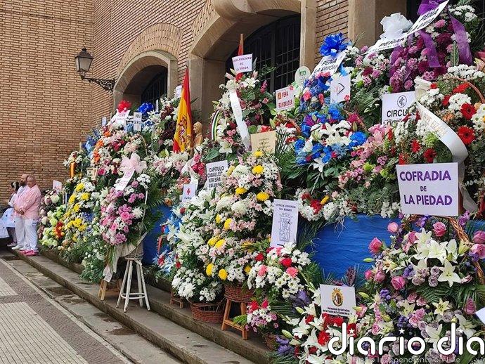 Las actividades continúan durante este fin de semana en Logroño con un completo programa post fiestas de San Mateo