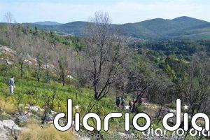 Las comunidades de montes vecinales usurpadas por el franquismo serán reconocidas como víctimas de la dictadura