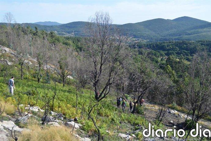 Las comunidades de montes vecinales usurpadas por el franquismo serán reconocidas como víctimas de la dictadura