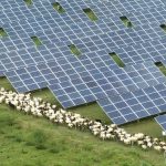 Las energías renovables ganan terreno, pero deben acelerar el paso