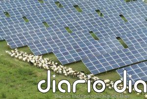 Las energías renovables ganan terreno, pero deben acelerar el paso