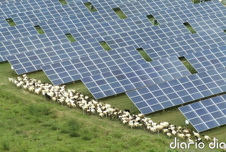 Las energías renovables ganan terreno, pero deben acelerar el paso