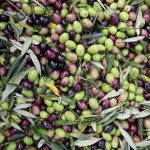 Las exportaciones agroalimentarias españolas a EEUU caen un 10% en 2025 por los aranceles