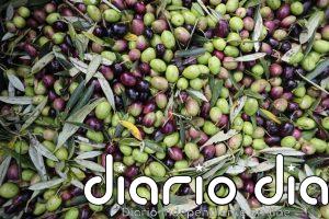 Las exportaciones agroalimentarias españolas a EEUU caen un 10% en 2025 por los aranceles