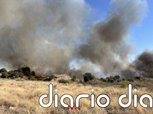 Los Bombers estabilizan de noche el incendio en Alfarràs (Lleida)