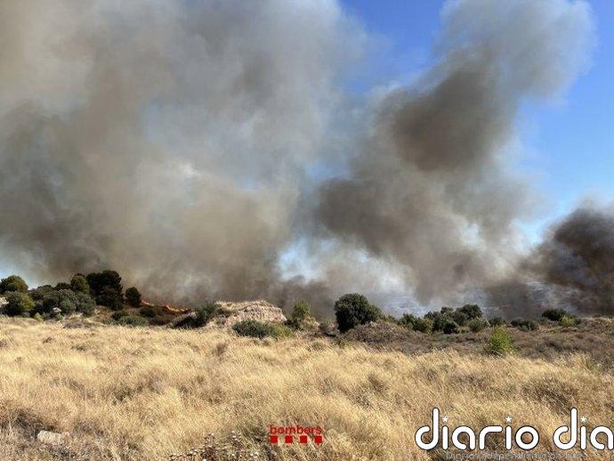 Los Bombers estabilizan de noche el incendio en Alfarràs (Lleida)