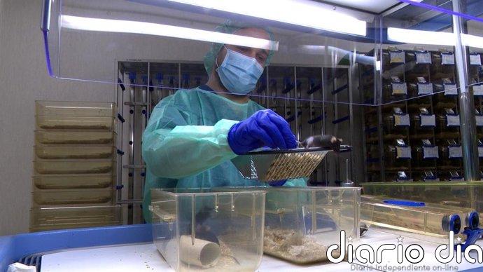 Los españoles asumen el uso de animales para experimentación pero lo rechazan para entretenimiento, según F.BBVA