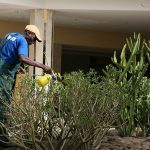 Los extranjeros con certificado de registro o tarjeta de residencia en vigor en Cantabria crece un 10%