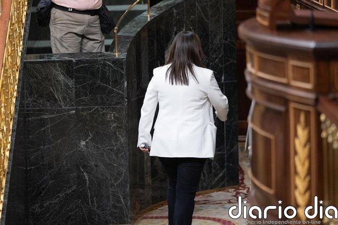 Los letrados del Congreso avalan la apertura de un expediente sancionador a la diputada del PP que mostró gas pimienta