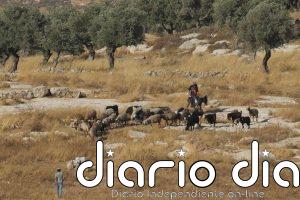 Mueren un joven y un menor por disparos del Ejército israelí durante una incursión de colonos en Cisjordania