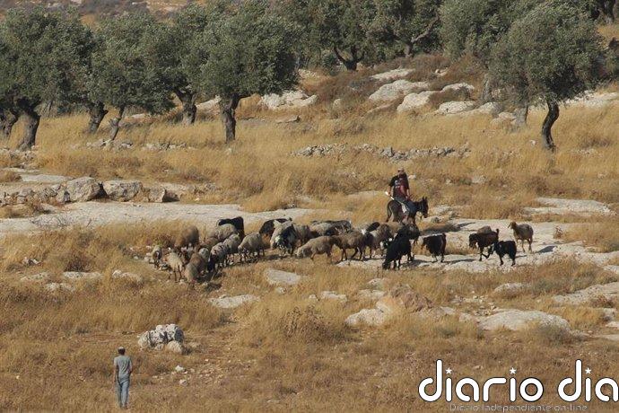 Mueren un joven y un menor por disparos del Ejército israelí durante una incursión de colonos en Cisjordania