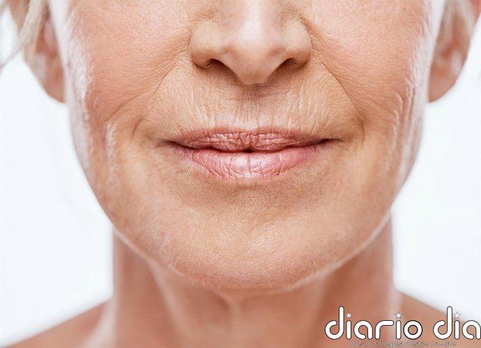 No solo la edad: el microbioma de tu piel tiene mucho que decir sobre cómo envejeces