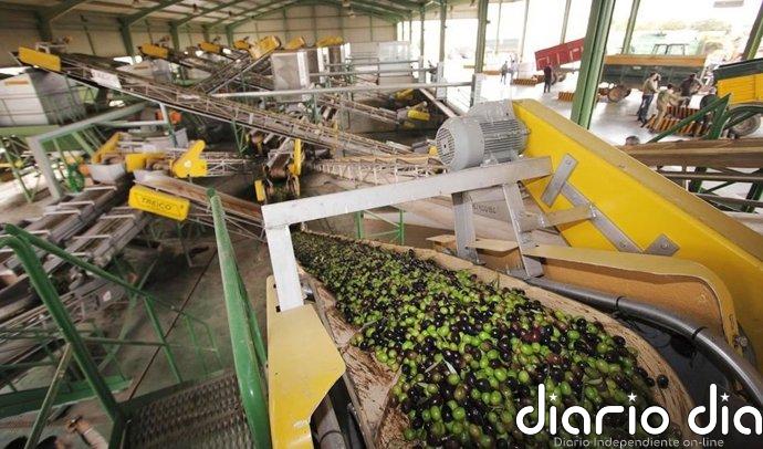 Olivareros valoran el paso de la Junta para frenar la distorsión de mercado y esperan que el Gobierno y la UE respondan